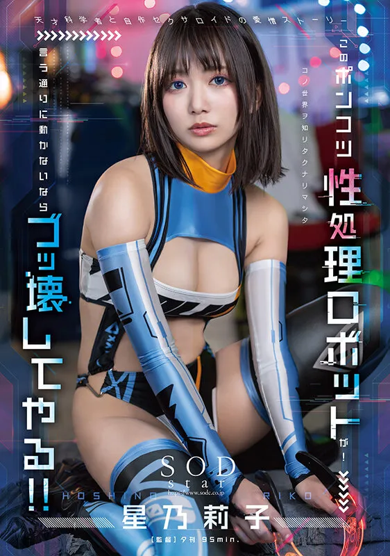 このポンコツ性処理ロボットが! 言う通りに動かないならブッ壊してやる!! 星乃莉子-1